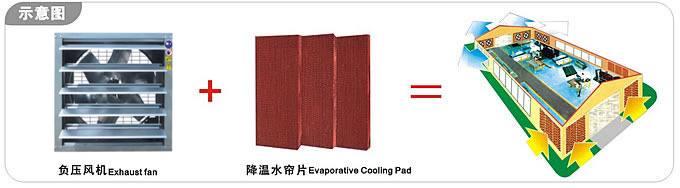 廣州廠房通風(fēng)降溫的方案、豪華形負(fù)壓風(fēng)機(jī)